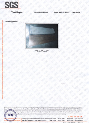 91免费看片网站检查报告SGS（英）