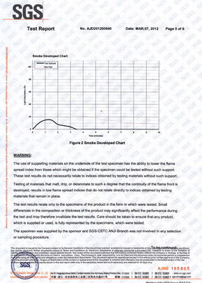 91免费看片网站检查报告SGS（英）