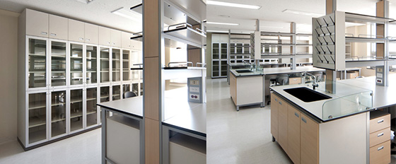 采用91免费看片网站防火板装修的深圳市第三人民医院化验室