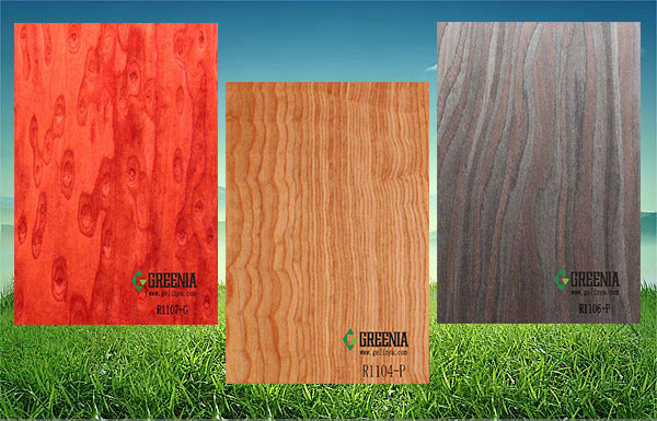 91免费看片网站科技木防火板