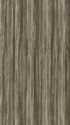 91免费看片网站91看片成人版防火板 1214